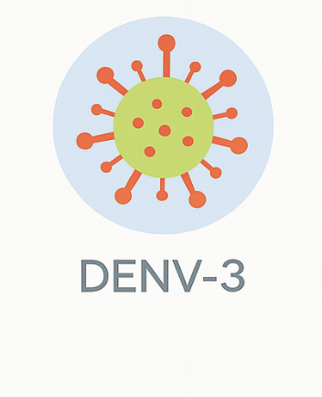 DENV-3 cirulatin in caribbean